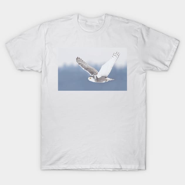 Snowy Owl T-Shirt by Jim Cumming